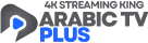 ARABIC TV PLUS